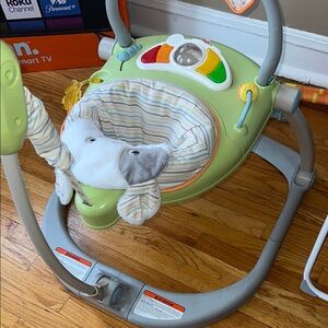 Fisher-Price Green Baby Jumperoo
